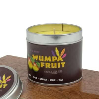 Crash Bandicoot Wumpa Fruit Candle