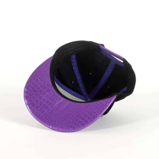 Spyro the Dragon Scaled Snapback