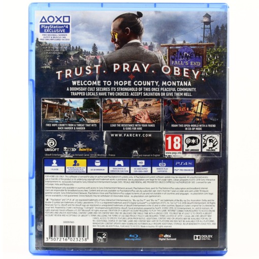 Far Cry 5 (PS4) - Image 2