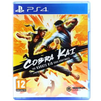 Cobra Kai: The Karate Kid Saga Continues (PS4)